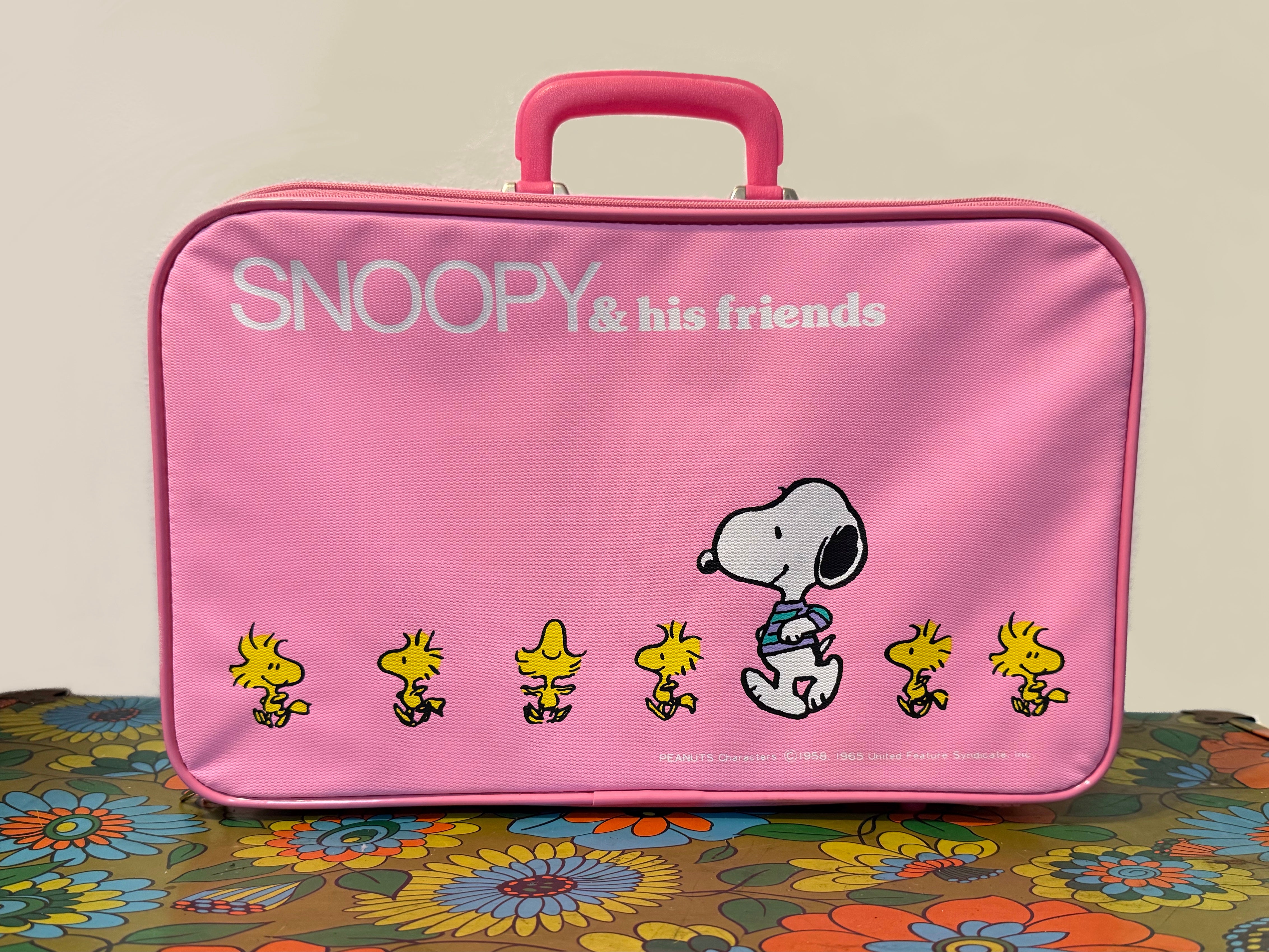 Vintage Snoopy Luggage