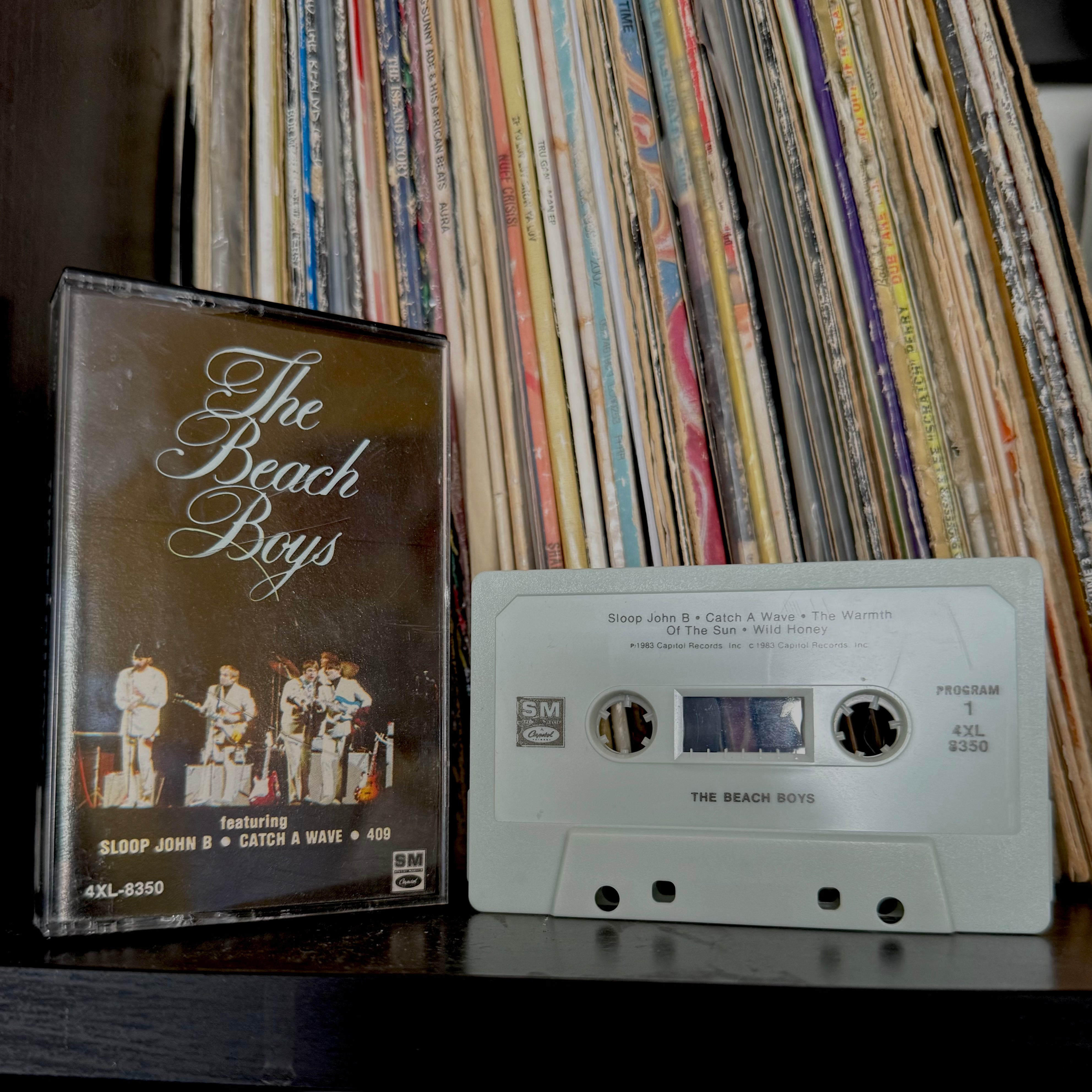 "The Beach Boys" – The Beach Boys