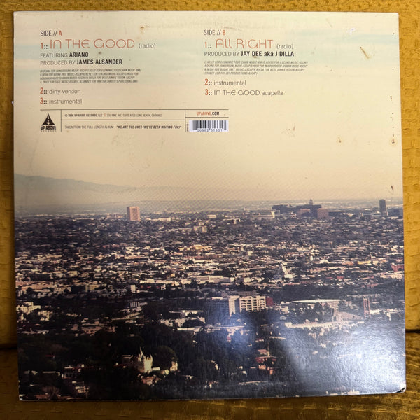 Visionaries – In The Good